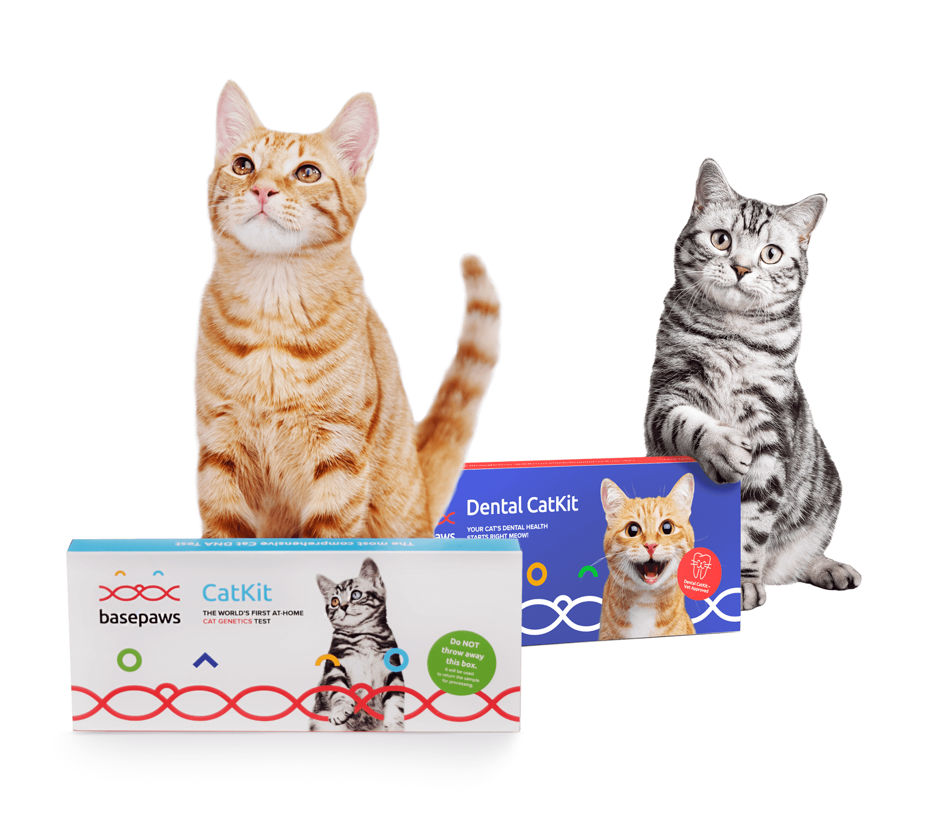 Genetic Health Markers & Blood Type Screening.