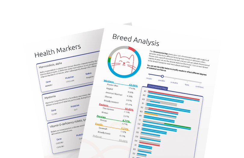 Easy, clear results delivered to your email