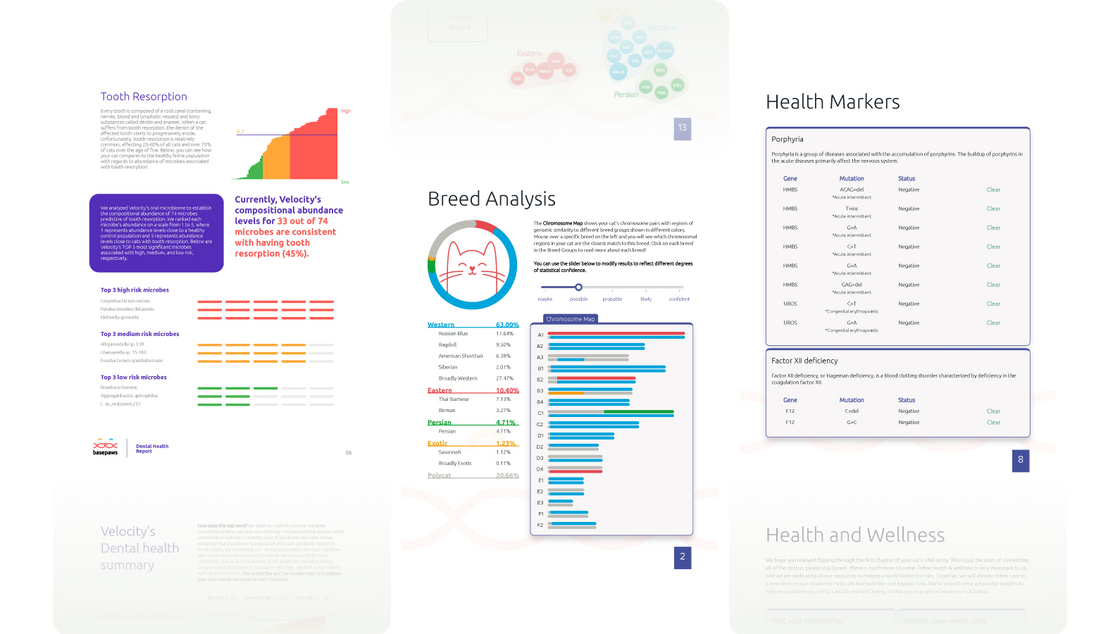 Easy, clear results delivered to your email