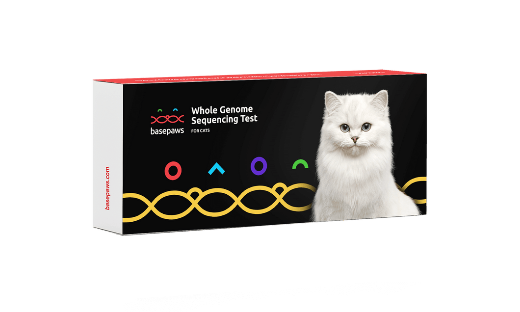 Whole Genome Sequencing