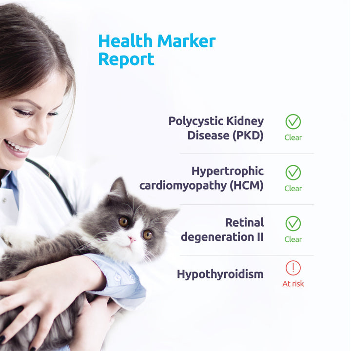 Breed + Health DNA Test