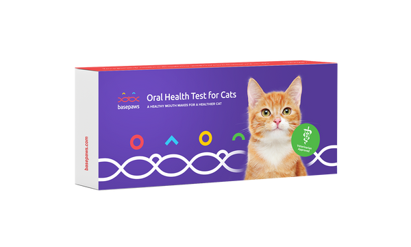 Basepaws Cat Dental Health Test