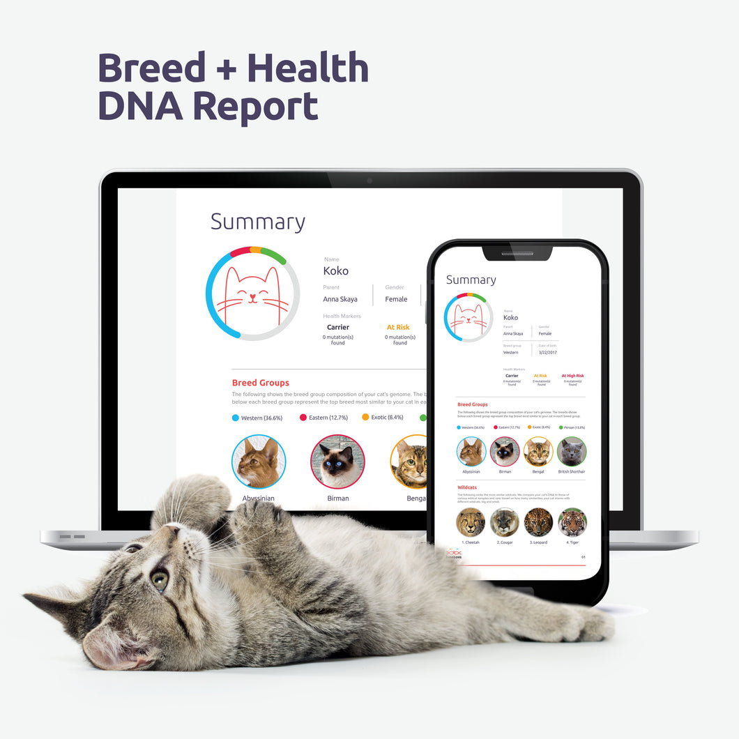 Upgrade - Basepaws Breed + Health DNA Test